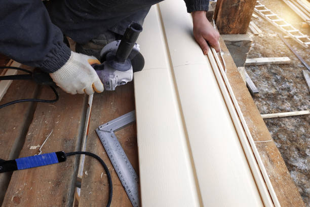 Best Engineered Wood Siding  in Dania Beach, FL