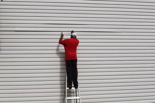 Best Siding Painting and Refinishing  in Dania Beach, FL